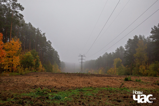 4/4 _belarus_paety_zylka_2023_fota_novy_czas__4__logo.jpg