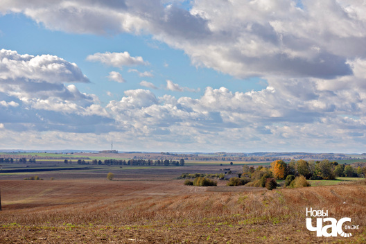 1/4 _belarus_paety_zylka_2023_fota_novy_czas_logo.jpg