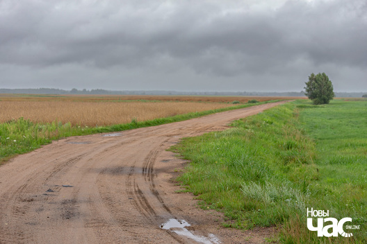 4/4 _belarus_palesse_leta_dozdz_krajavidy_2025_fota_novy_czas__4_.jpg