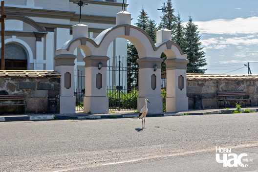 2/3 _belarus_paraf_janava_busel_czakanne_2023_fota_novy_czas__1__logo.jpg