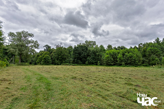 3/7 _belarus_pjaski_sjadziba_2025_fota_novy_czas__3_.jpg