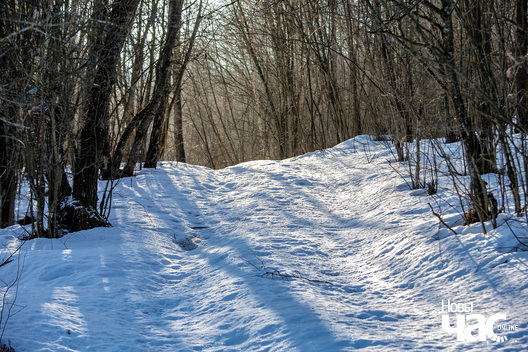 10/11 _belarus_pjatroviczy_szpacyr_2023_fota_ncz__3__logo.jpg