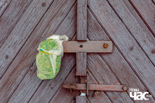 3/4 _belarus_proszkava_kascjol_pracjah_2025_fota_novy_czas__3_.jpg