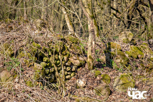 6/7 _belarus_pukava_maentak_2025_fota_novy_czas__5_.jpg