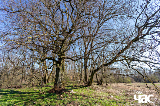 4/4 _belarus_pukava_sjadziba_2025_fota_novy_czas__3_.jpg