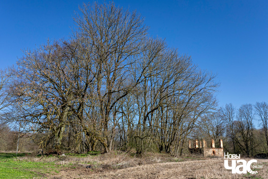 2/5 _belarus_pukava_szpacyr_2025_fota_novy_czas__1_.jpg