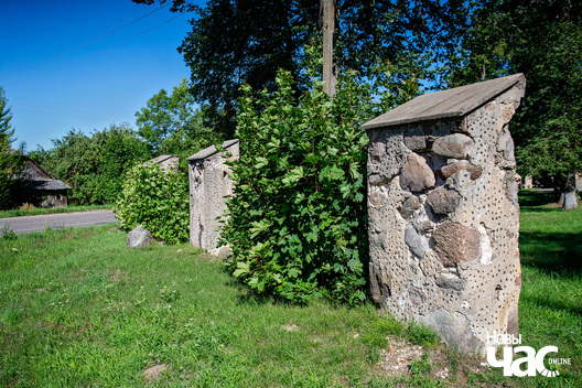 2/5 _belarus_sitcy_sjadziba_damejka_2023_fota_novy_czas__3__logo.jpg