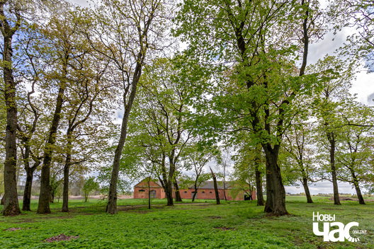 3/4 _belarus_sjadziby_hruszauka_juzaf_2024_fota_novy_czas__2__logo.jpg