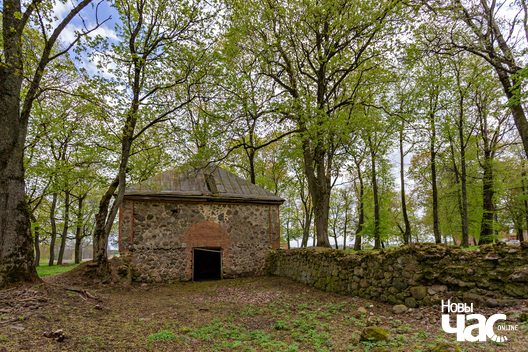 1/4 _belarus_sjadziby_hruszauka_juzaf_2024_fota_novy_czas_logo.jpg