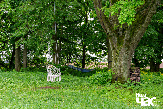 2/5 _belarus_snou_sjadziba_hartynhi_pracjah_2024_fota_novy_czas__1_.jpg