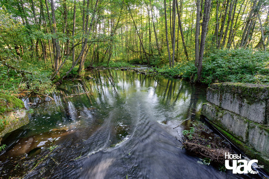 1/4 _belarus_traskouszczyna_islacz_2023_fota_novy_czas__1__logo.jpg