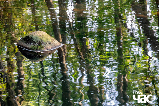 3/4 _belarus_traskouszczyna_islacz_2023_fota_novy_czas__3__logo.jpg