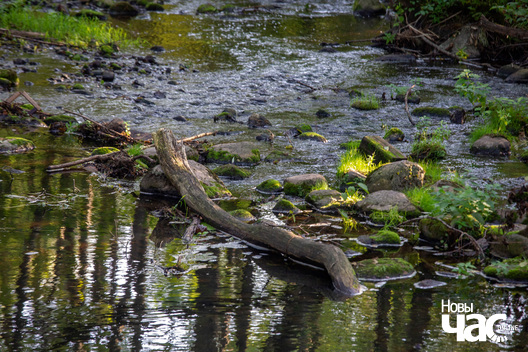 4/4 _belarus_traskouszczyna_islacz_2023_fota_novy_czas__4__logo.jpg