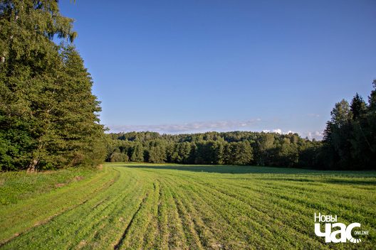 5/5 _belarus_traskouszczyna_les_2023_fota_novy_czas__4__logo.jpg