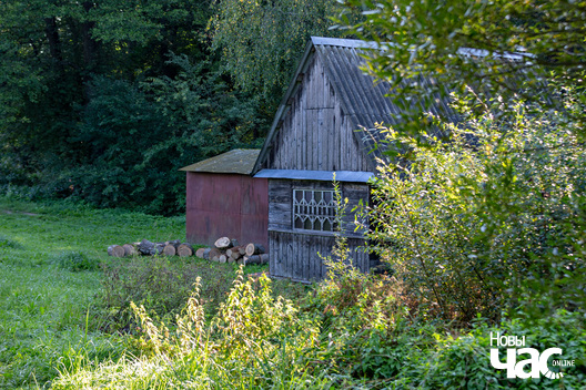 2/4 _belarus_traskouszczyna_vjoska_2023_fota_novy_czas__2__logo.jpg