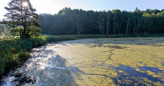 Восенькі ранак у Беларусі. Прыгожыя фота