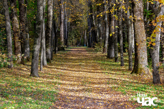 1/5 _belarus_tuhanavicki_park_2024_fota_novy_czas__1_.jpg