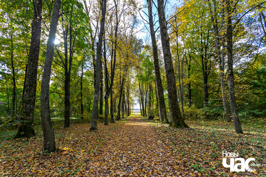 2/5 _belarus_tuhanavicki_park_2024_fota_novy_czas__2_.jpg