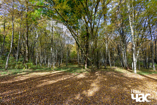 3/5 _belarus_tuhanavicki_park_2024_fota_novy_czas__3_.jpg