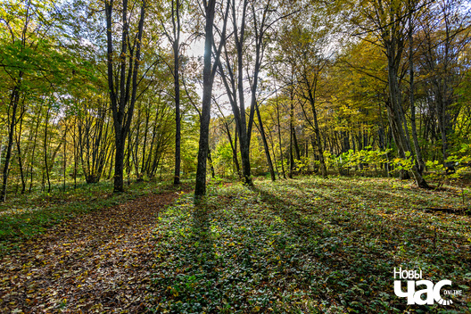 4/5 _belarus_tuhanavicki_park_2024_fota_novy_czas__4_.jpg