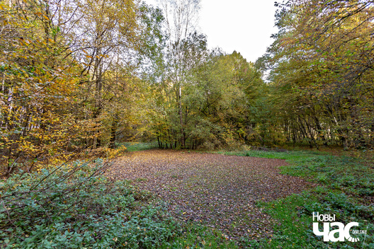 5/5 _belarus_tuhanavicki_park_2024_fota_novy_czas__5_.jpg