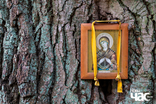 1/7 _belarus_tuhanavicki_park_pracjah_2024_fota_novy_czas.jpg