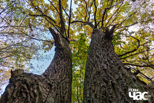 4/7 _belarus_tuhanavicki_park_pracjah_2024_fota_novy_czas__3_.jpg