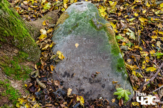 7/7 _belarus_tuhanavicki_park_pracjah_2024_fota_novy_czas__6_.jpg