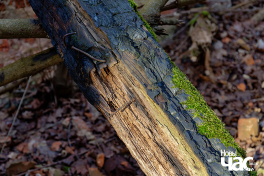 2/11 _belarus_vandrouka_final_2024_fota_novy_czas__2__logo.jpg