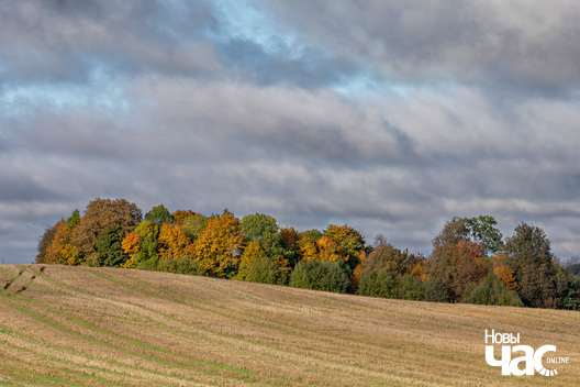 1/4 _belarus_vandrouka_krajavidy_2024_fota_novy_czas__1_.jpg