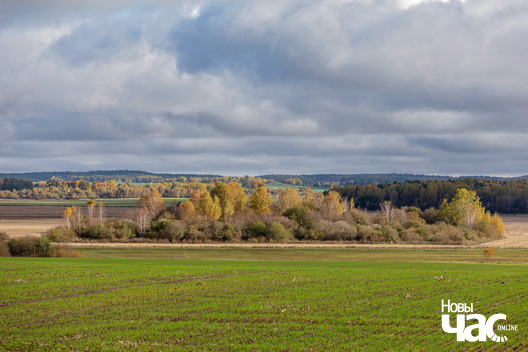 2/4 _belarus_vandrouka_krajavidy_2024_fota_novy_czas__2_.jpg