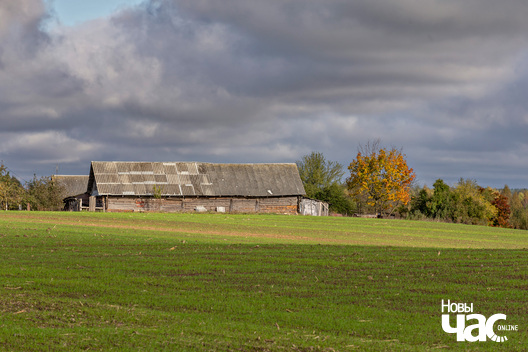 3/4 _belarus_vandrouka_krajavidy_2024_fota_novy_czas__3_.jpg
