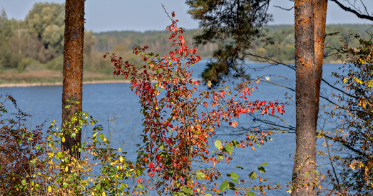 Восень у Беларусі. Шмат прыгожых фота