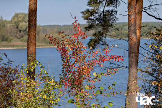 1/5 _belarus_verasen_les_pracjah_3_2024_fota_novy_czas.jpg