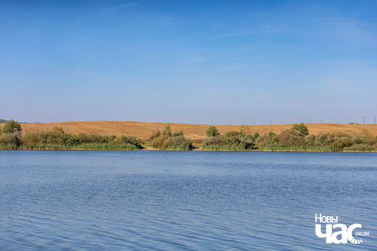 3/5 _belarus_verasen_les_pracjah_3_2024_fota_novy_czas__2_.jpg