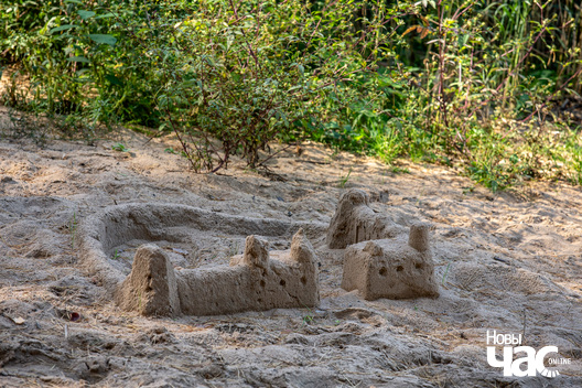 4/5 _belarus_verasen_les_pracjah_3_2024_fota_novy_czas__3_.jpg