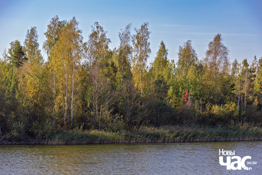 1/4 _belarus_verasen_vozera_2024_fota_novy_czas__1_.jpg