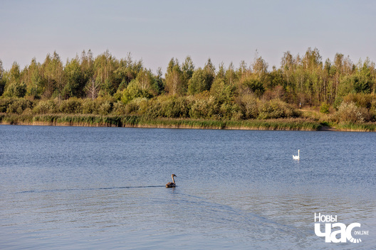 1/4 _belarus_verasen_vozera_adpaczynak_2024_fota_novy_czas.jpg
