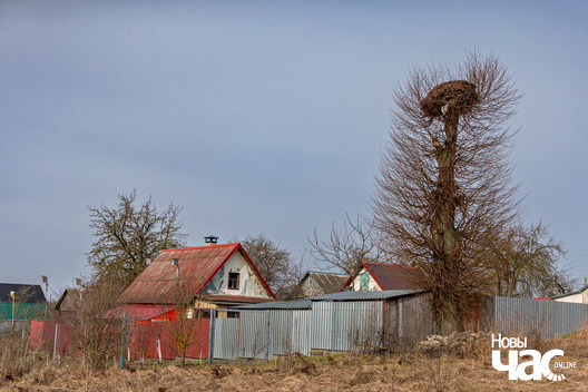 8/8 _belarus_vjasna_kraina_pryroda_2024_fota_novy_czas__7__logo.jpg
