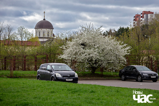 2/4 _belarus_vjasna_kvetki_drevy_szpacyr_2024_fota_novy_czas__3__logo.jpg