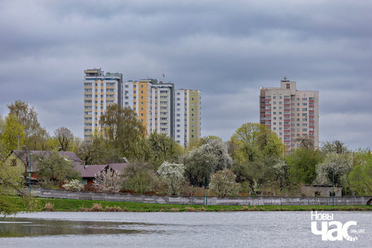 2/6 _belarus_vjasna_minsk_krasavik_pracjah_2024_fota_novy_czas__5__logo.jpg