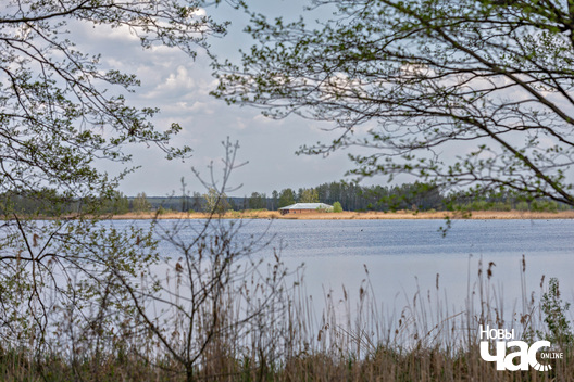 3/6 _belarus_vjasna_pryroda_kraina_czastka_2_2025_fota_novy_czas__2_.jpg