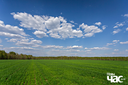 6/7 _belarus_vjasna_pryroda_kraina_czastka_5_2025_fota_novy_czas___6_.jpg