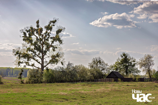 2/6 _belarus_vjasna_pryroda_kraina_czastka_6_2025_fota_novy_czas__1_.jpg