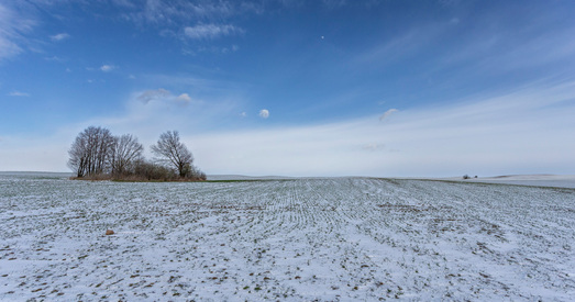 Зіма вярнулася ў Беларусь у красавіку. Фота