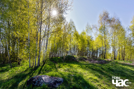 3/3 _belarus_vjazynka_haradziszcza_2023__fota_novy_czas__2__logo.jpg