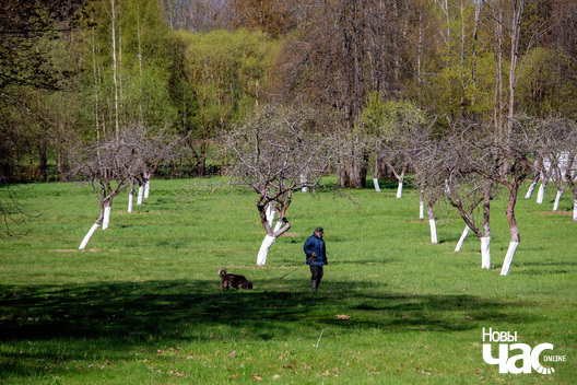 2/4 _belarus_vjazynka_jablyni_2023__fota_novy_czas__2__logo.jpg