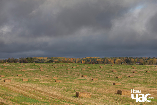 1/5 _belarus_vosen_kastrycznik_nadvor_e_2025_fota_novy_czas.jpg