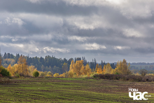 2/6 _belarus_vosen_kastrycznik_padarozza_2025_fota_novy_czas__2_.jpg