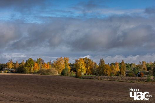 2/8 _belarus_vosen_kastrycznik_pali_2025_fota_novy_czas__1_.jpg
